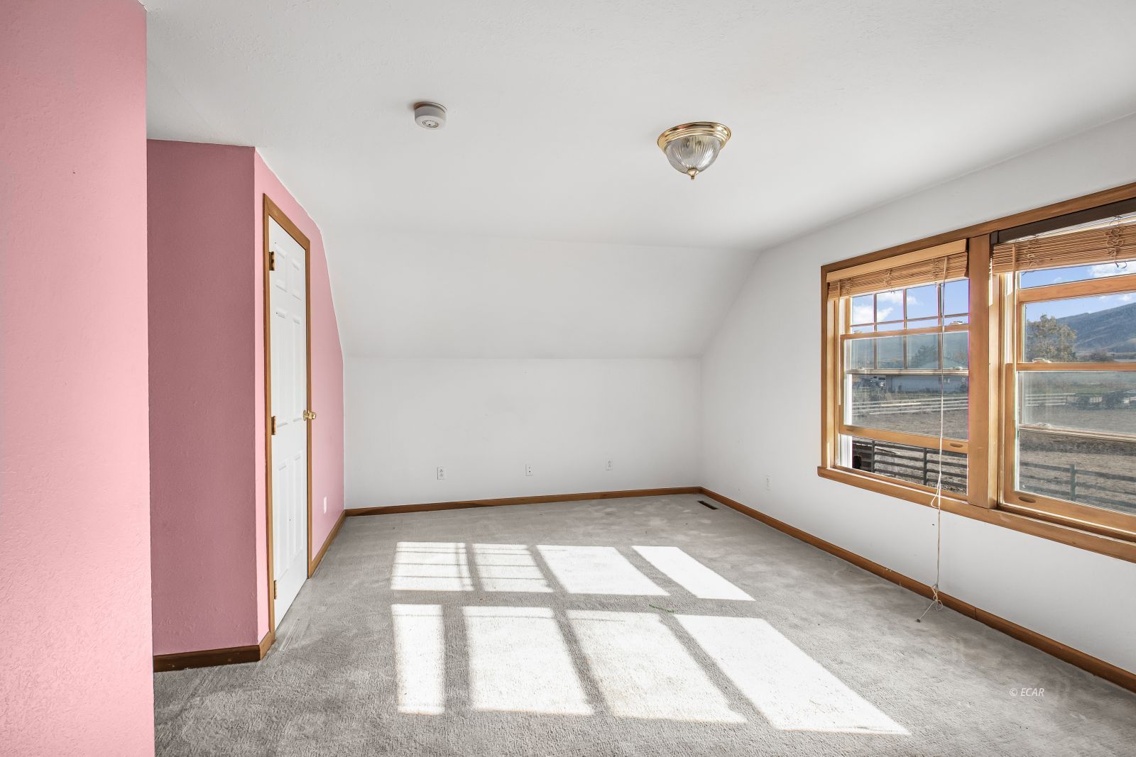 936 Buckskin Place Property Photo 23