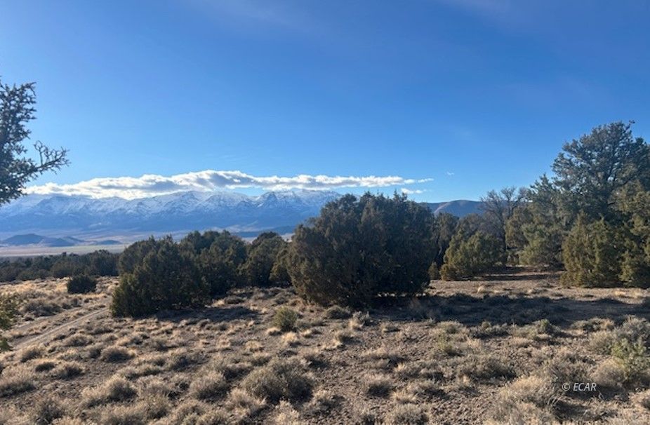 Two Track Property Photo 1