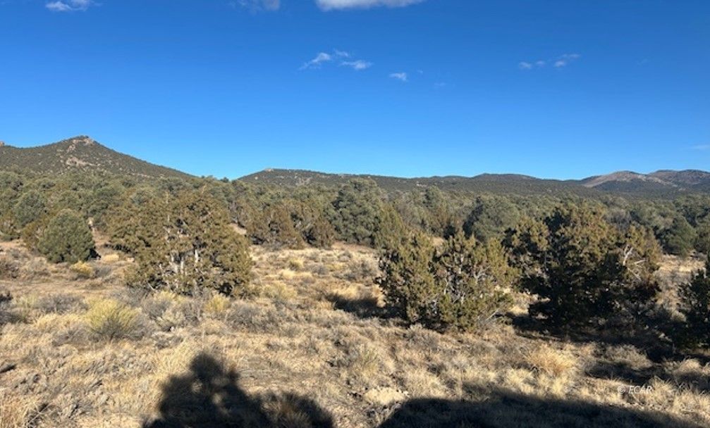 Two Track Property Photo 2