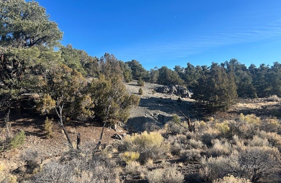 Two Track Property Photo 4