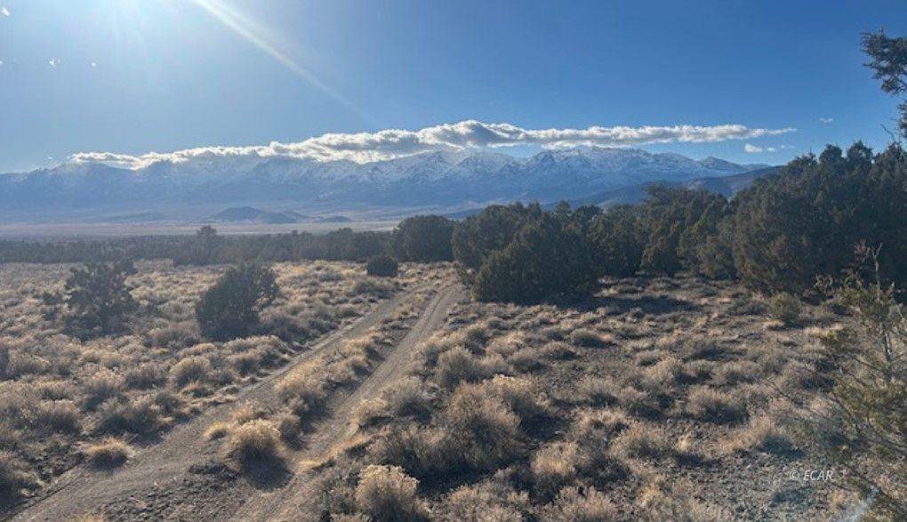 Two Track Property Photo 5