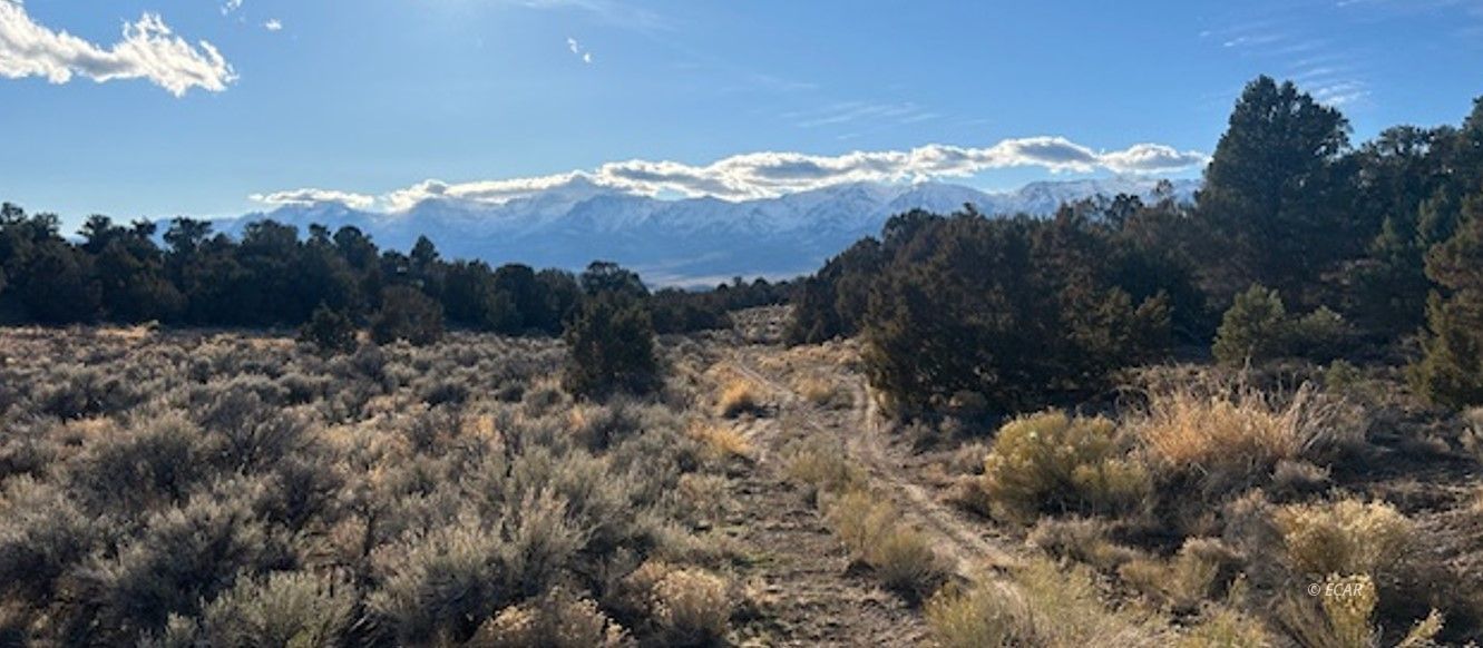 Two Track Property Photo 6