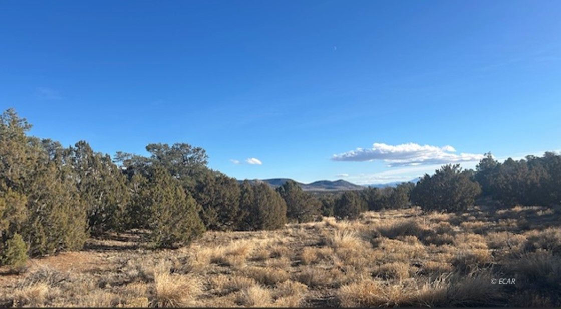 Two Track Property Photo 7