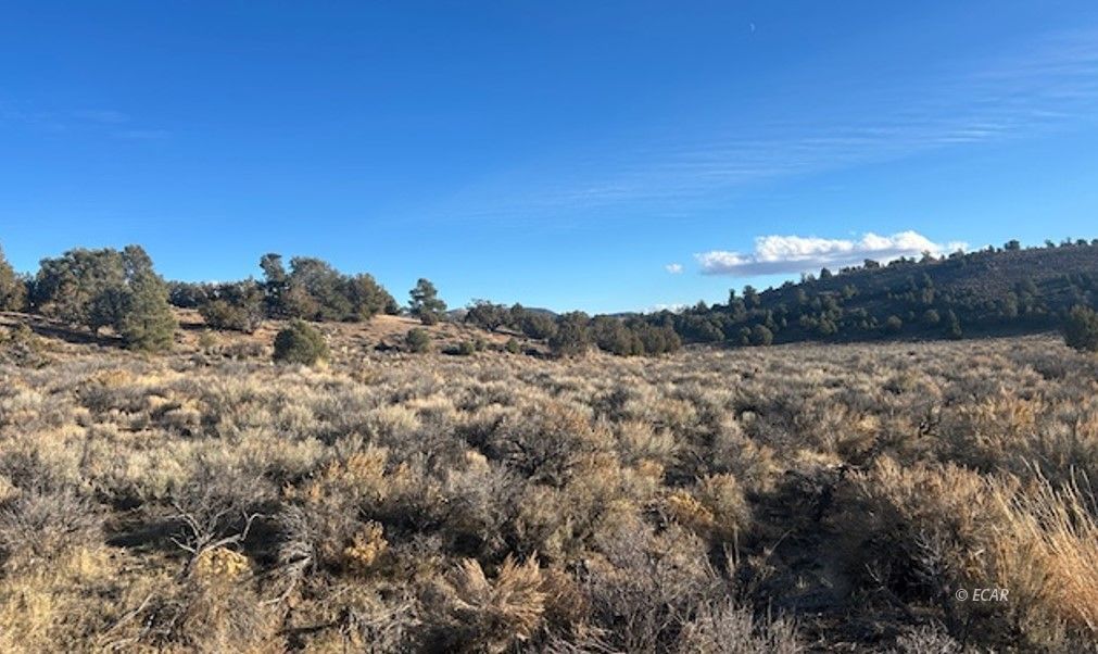 Two Track Property Photo 8