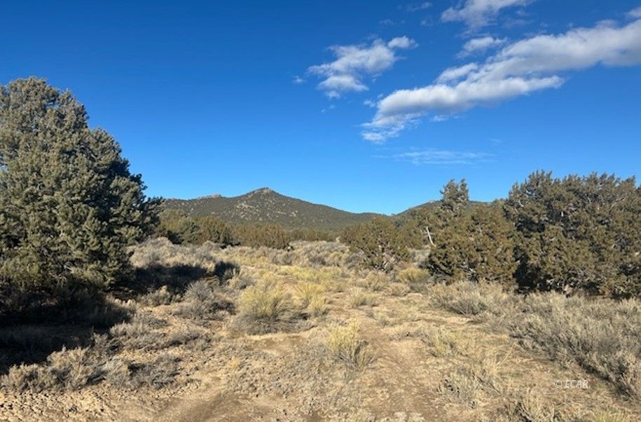 Two Track Property Photo 9