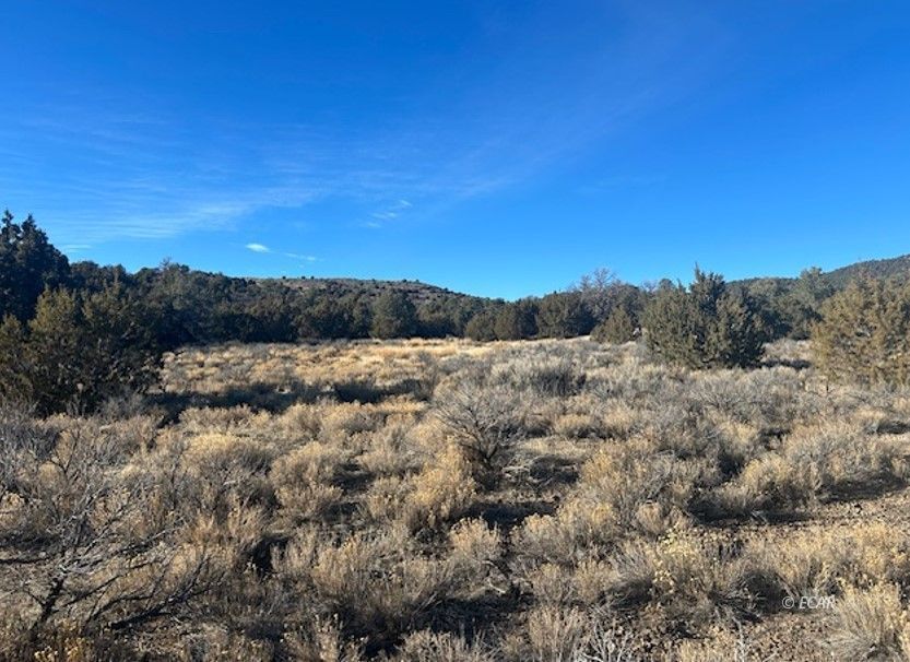 Two Track Property Photo 10