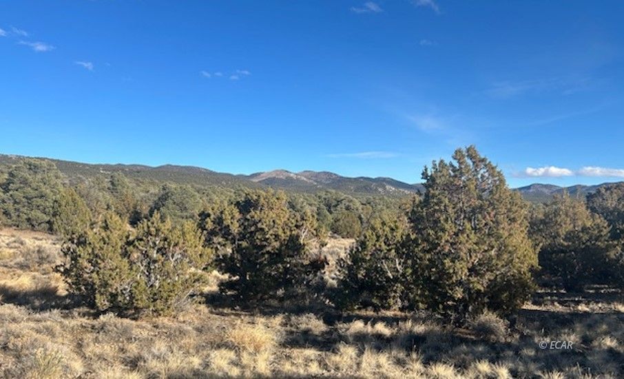 Two Track Property Photo 11