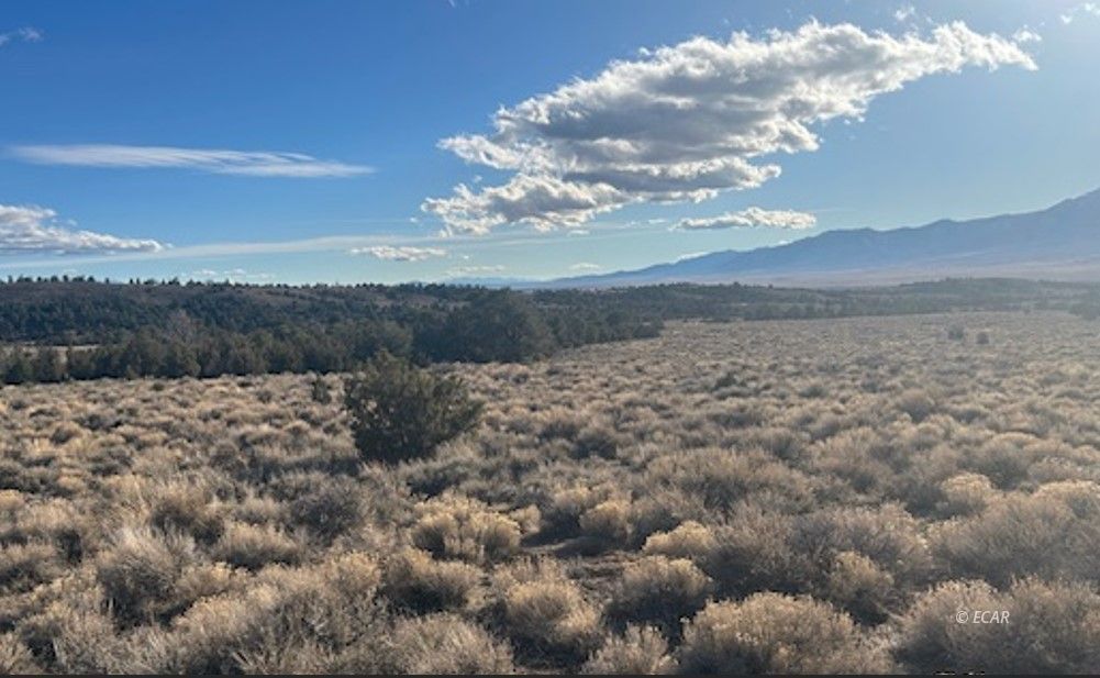 Two Track Property Photo 12