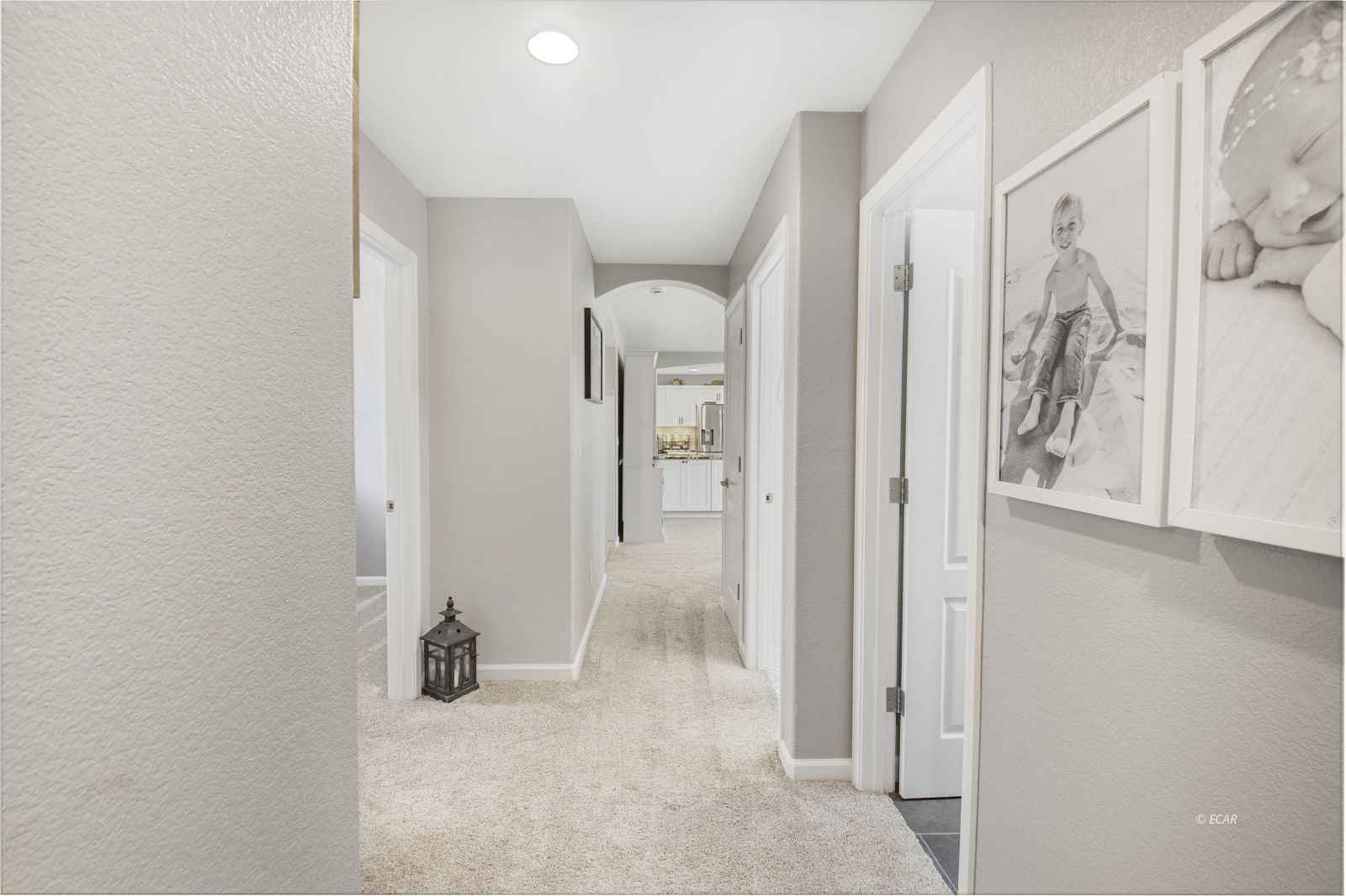 141 Hamilton Creek Court Property Photo 22