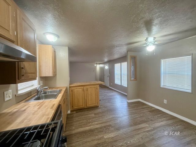 398 Smokey Drive Property Photo 5