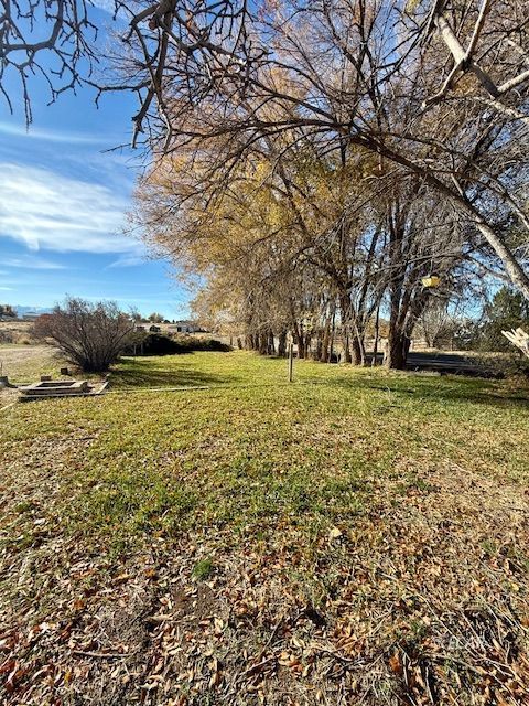 398 Smokey Drive Property Photo 15