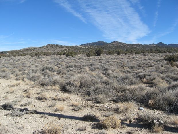 008 Leprechaun Lane Property Photo 1