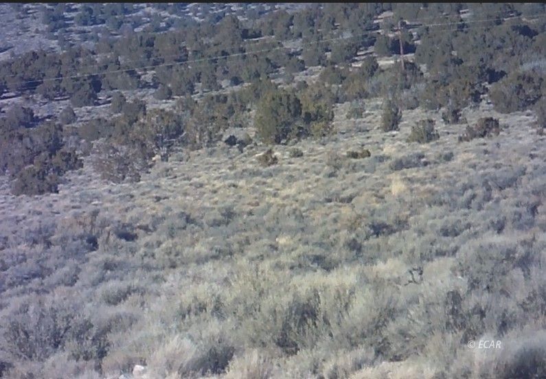 008 Leprechaun Lane Property Photo 6