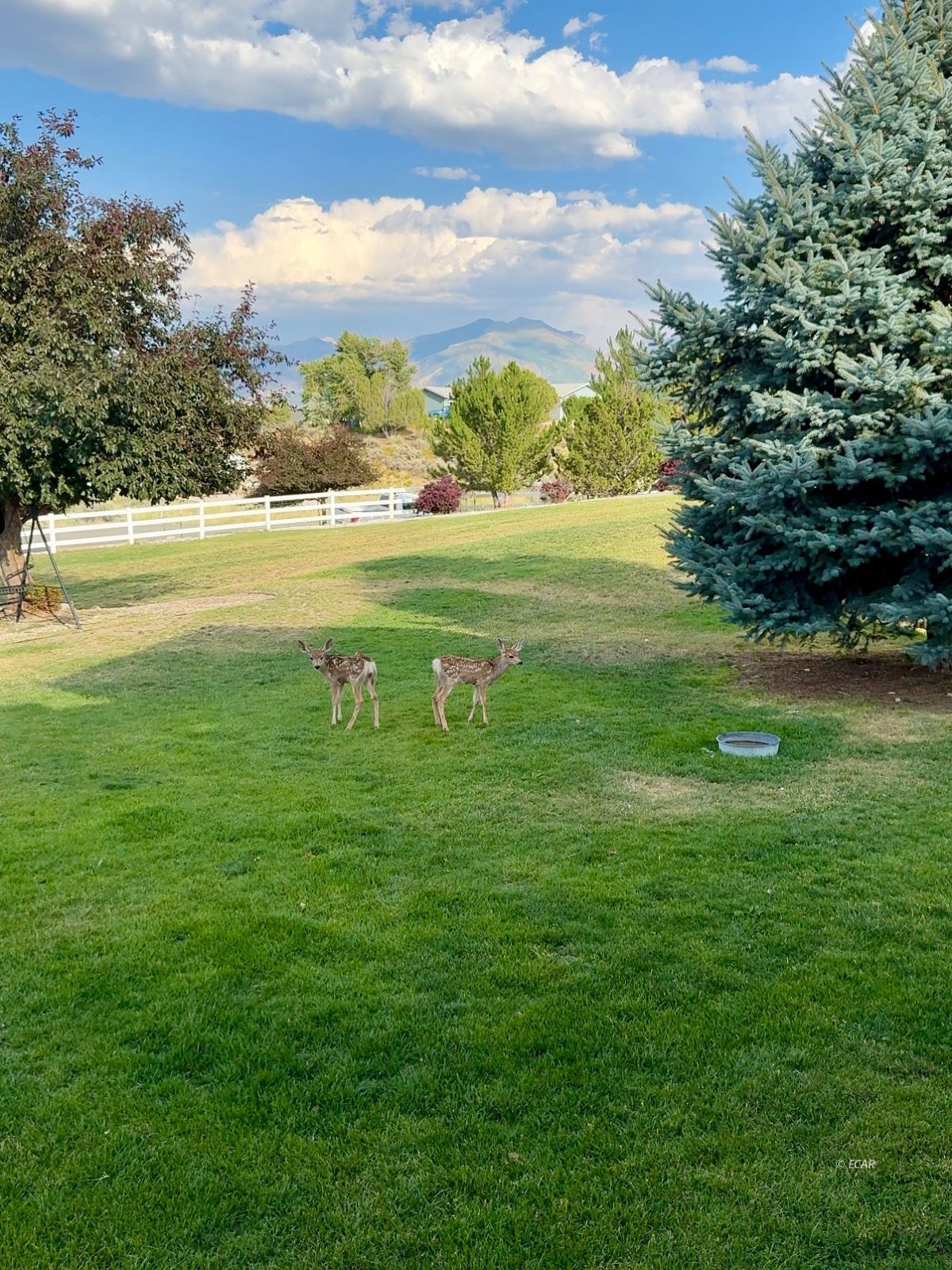 221 Lyndhurst Lane Property Photo 10