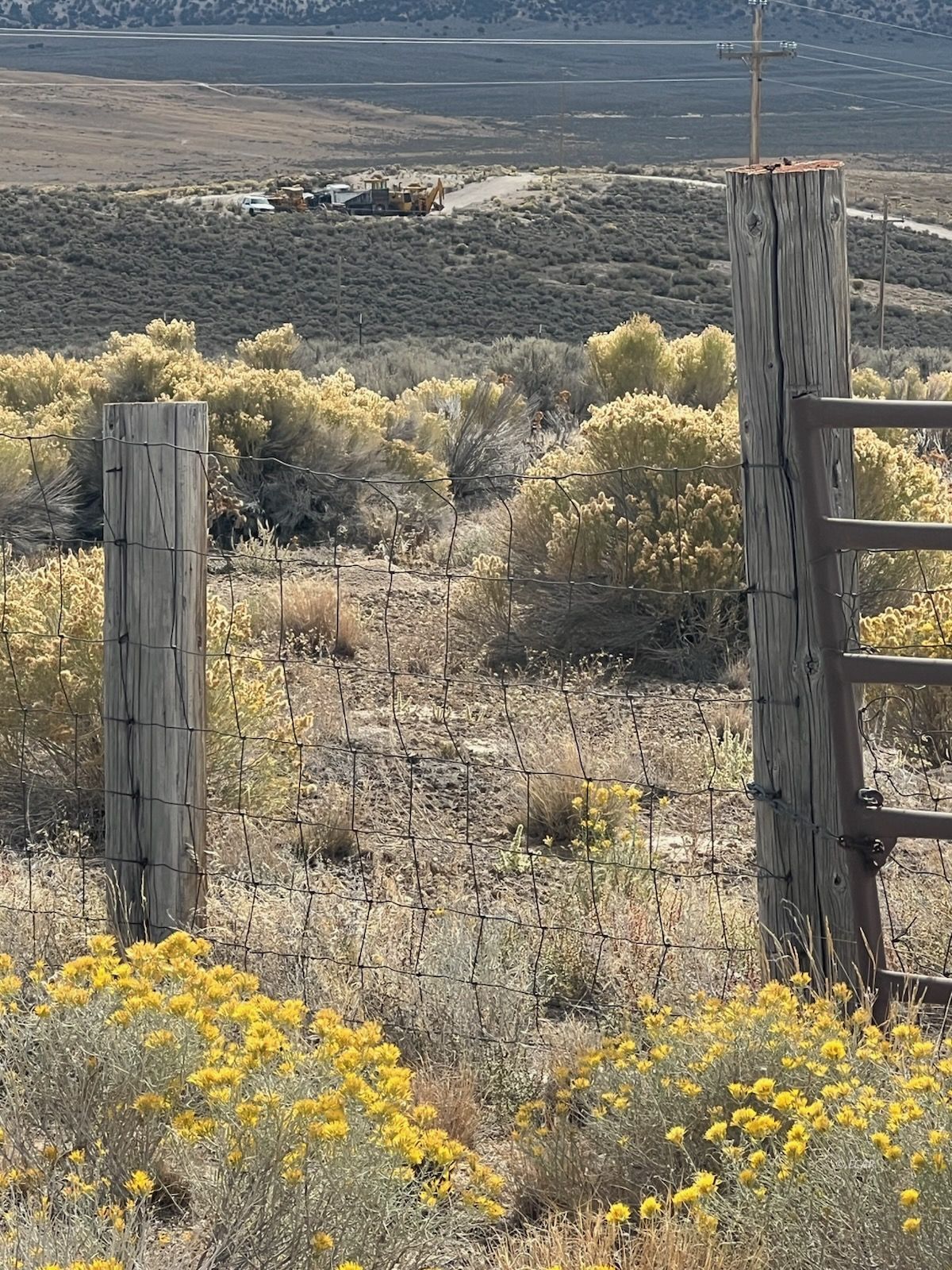 2016 Pickering Avenue Property Photo 1