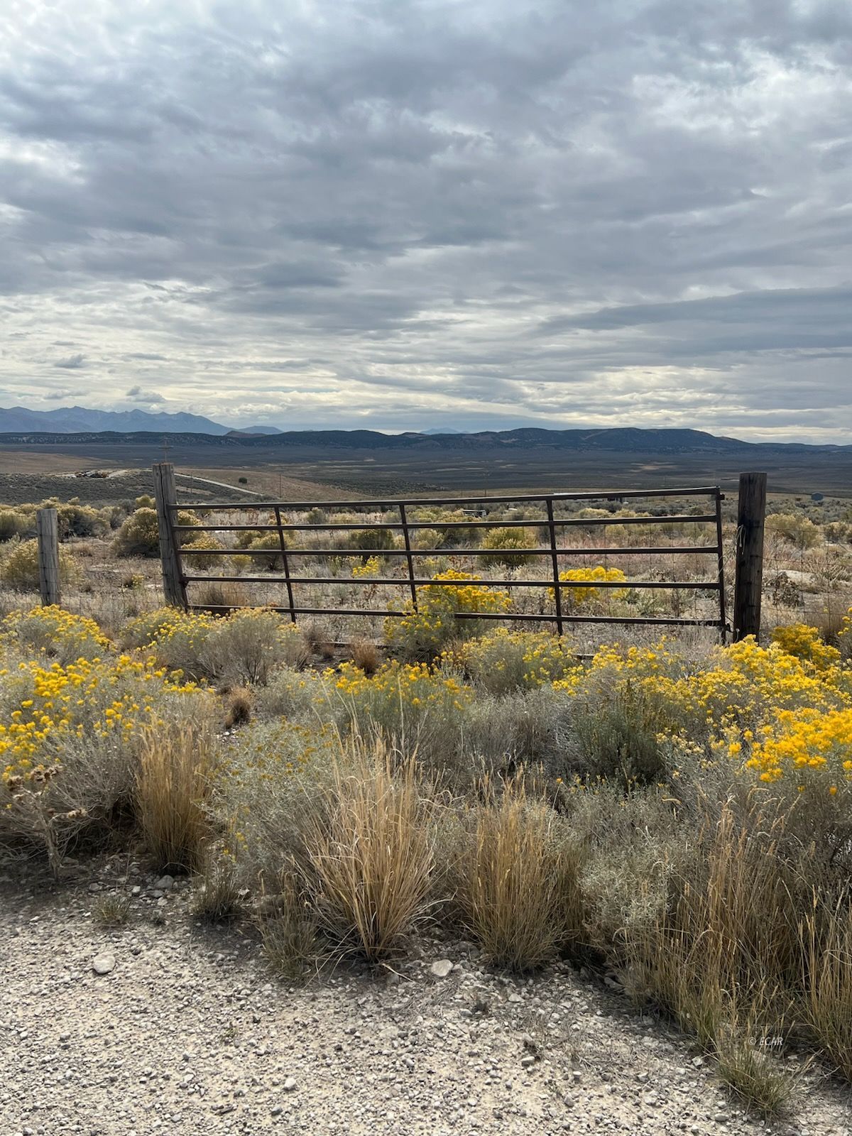 2016 Pickering Avenue Property Photo 2