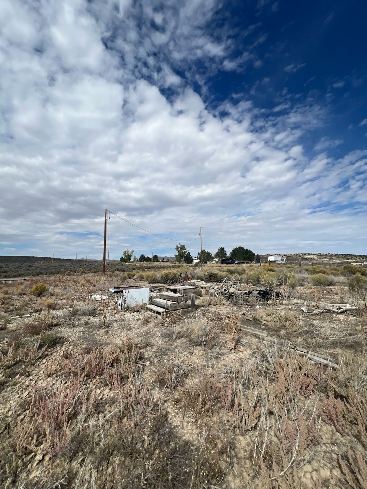 2016 Pickering Avenue Property Photo 4