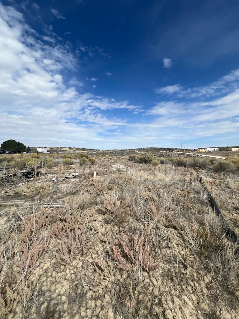 2016 Pickering Avenue Property Photo 5