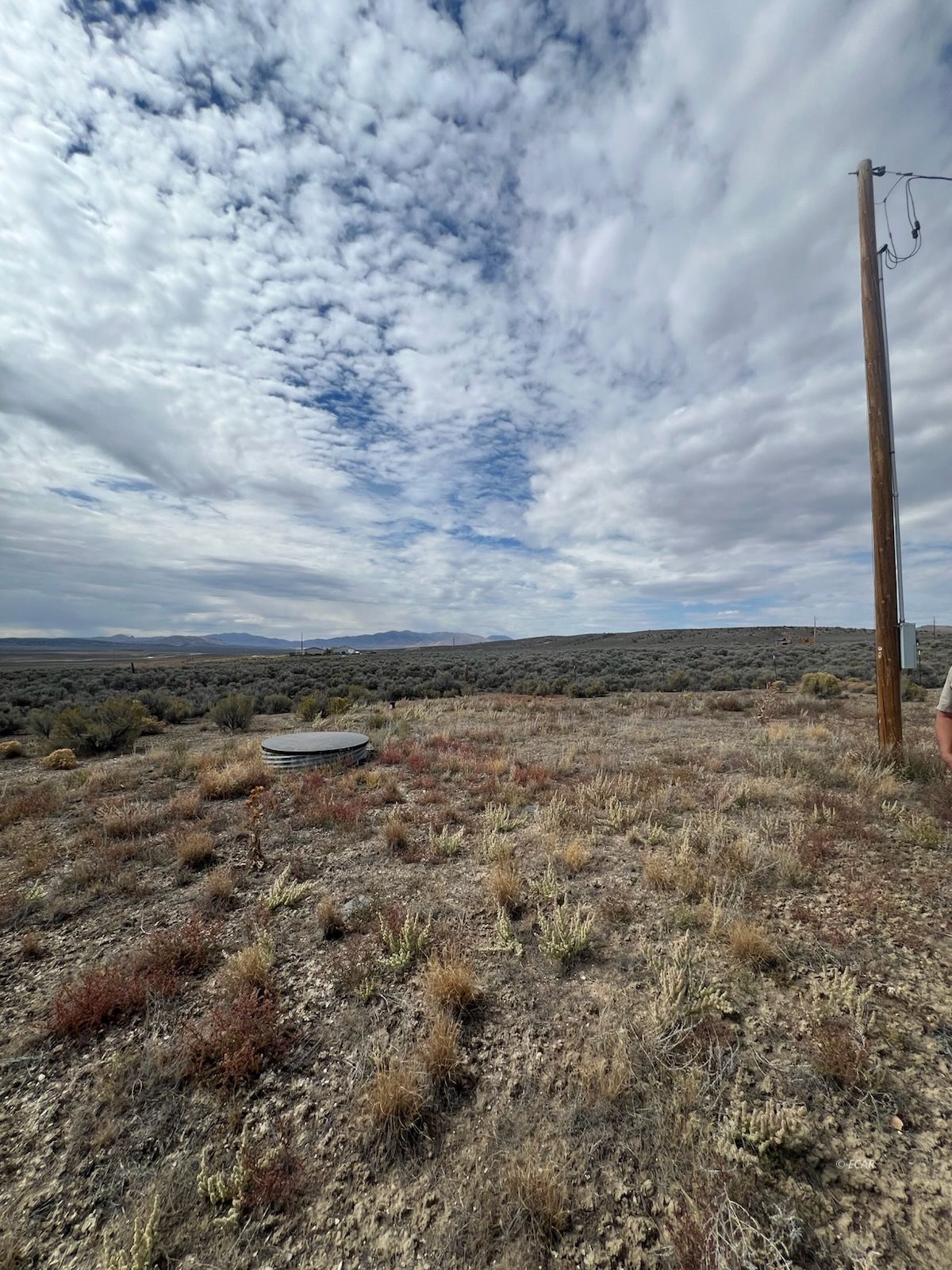 2016 Pickering Avenue Property Photo 7