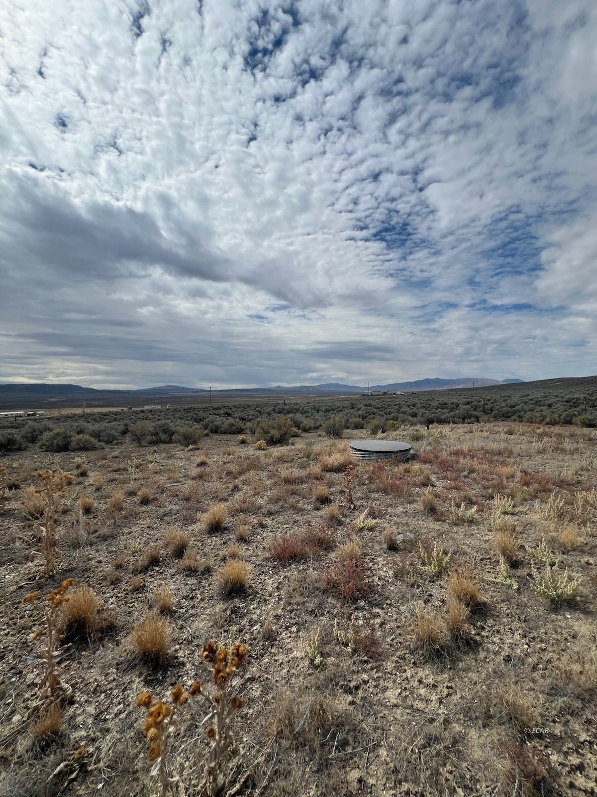 2016 Pickering Avenue Property Photo 8