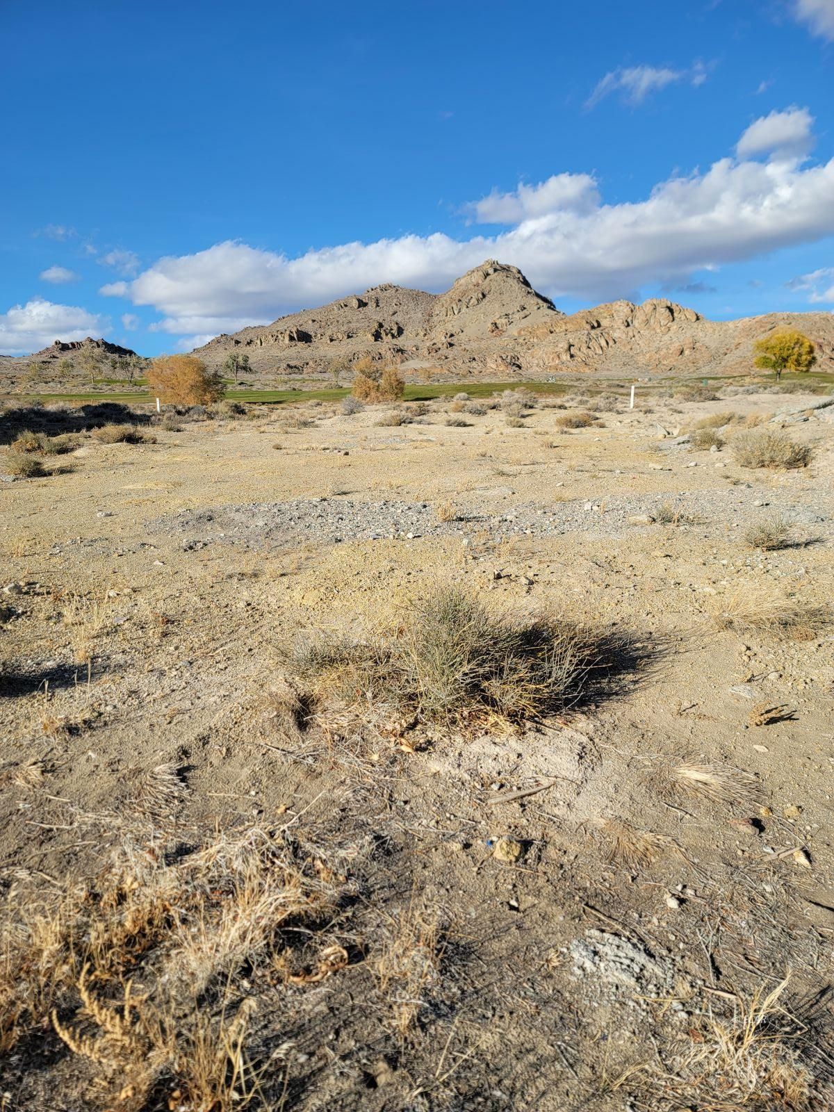 3044 Fairway View Drive Property Photo 2