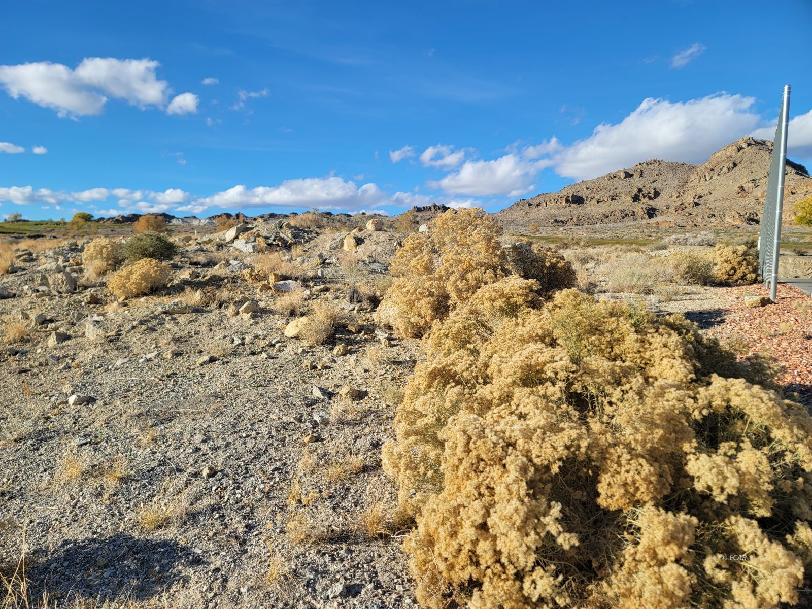 3000 Fairway View Drive Property Photo 5