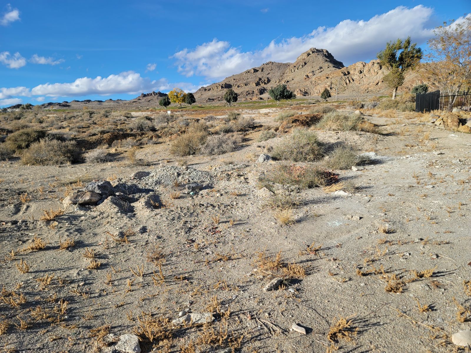 3000 Fairway View Drive Property Photo 8