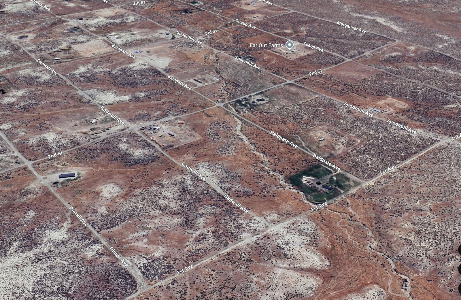 Gadwall Avenue Property Photo 8