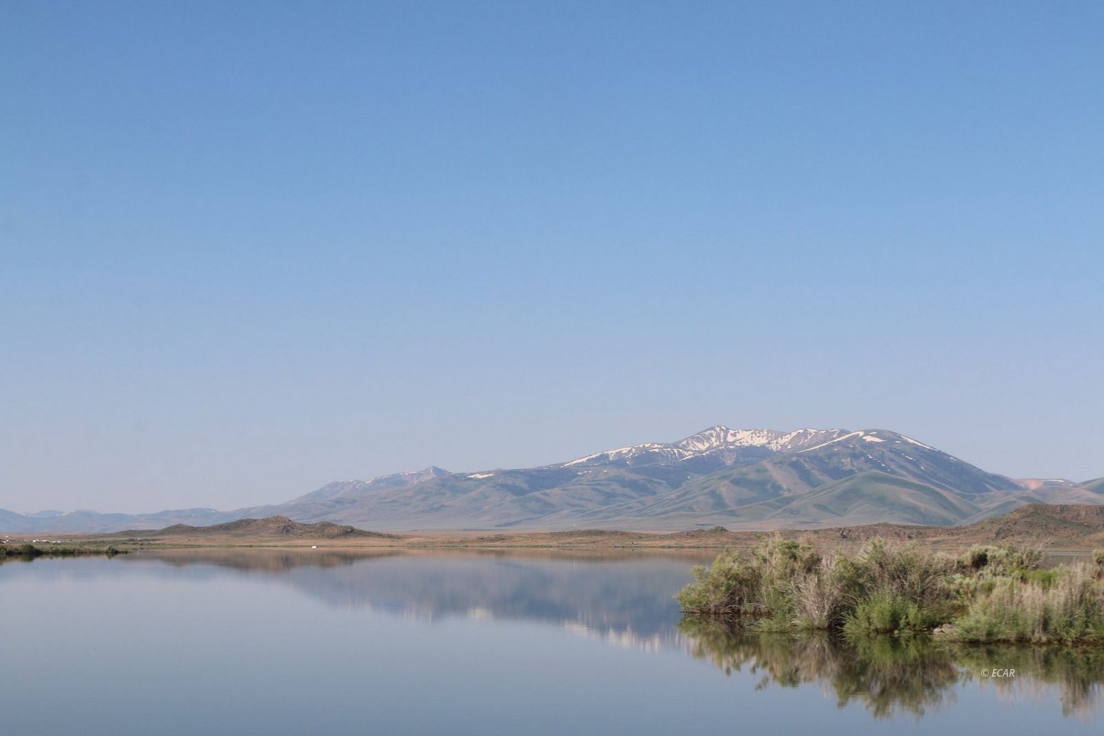 Perlite Avenue Property Photo 4