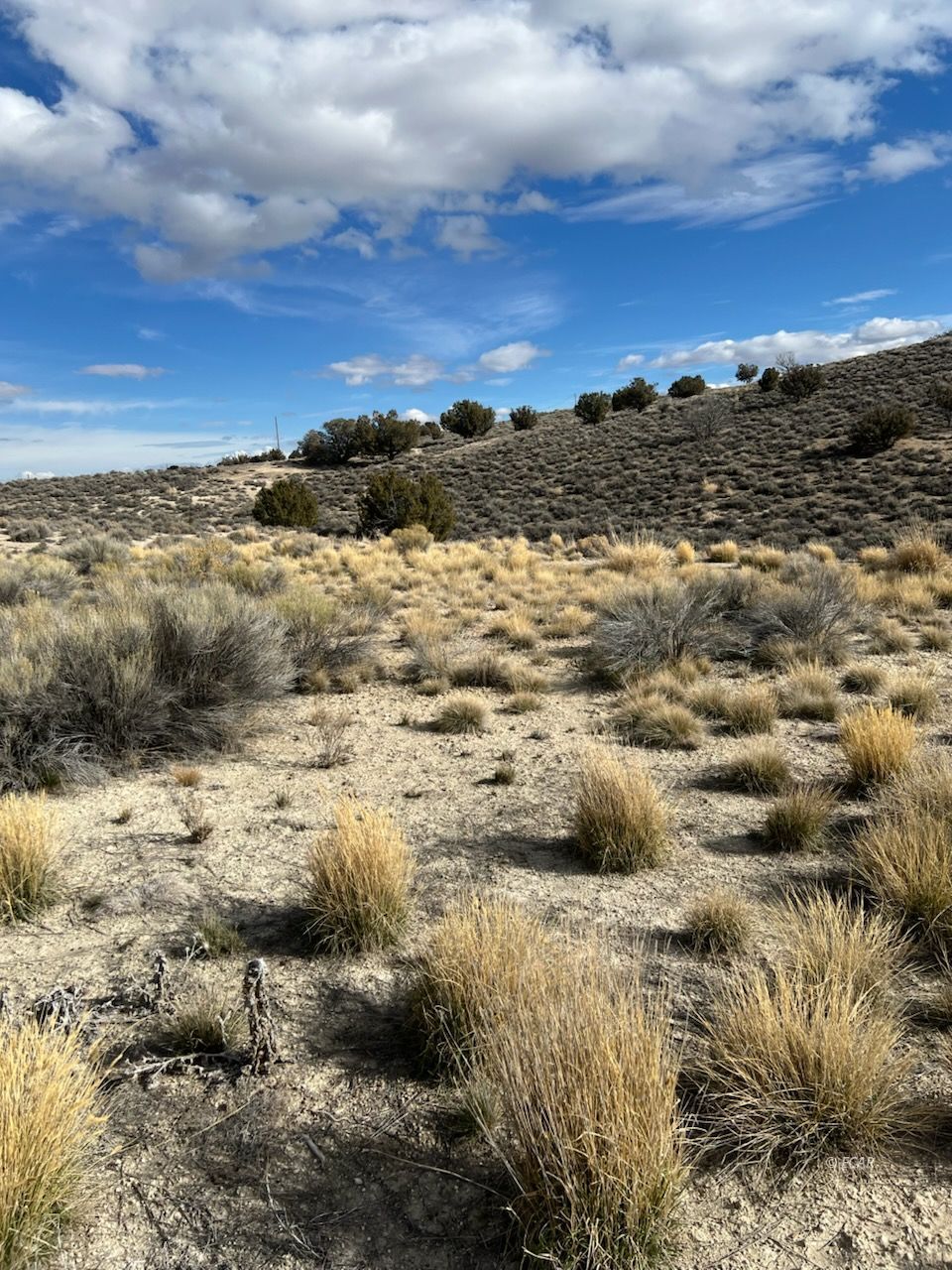 N/a Grant Avenue Property Photo 3