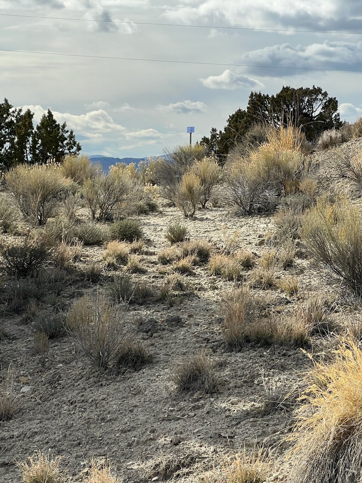 N/a Grant Avenue Property Photo 5