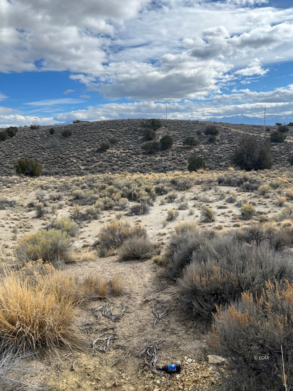 N/a Grant Avenue Property Photo 7