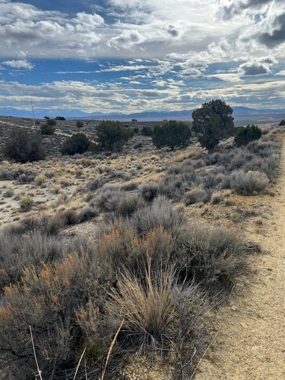 N/a Grant Avenue Property Photo 10