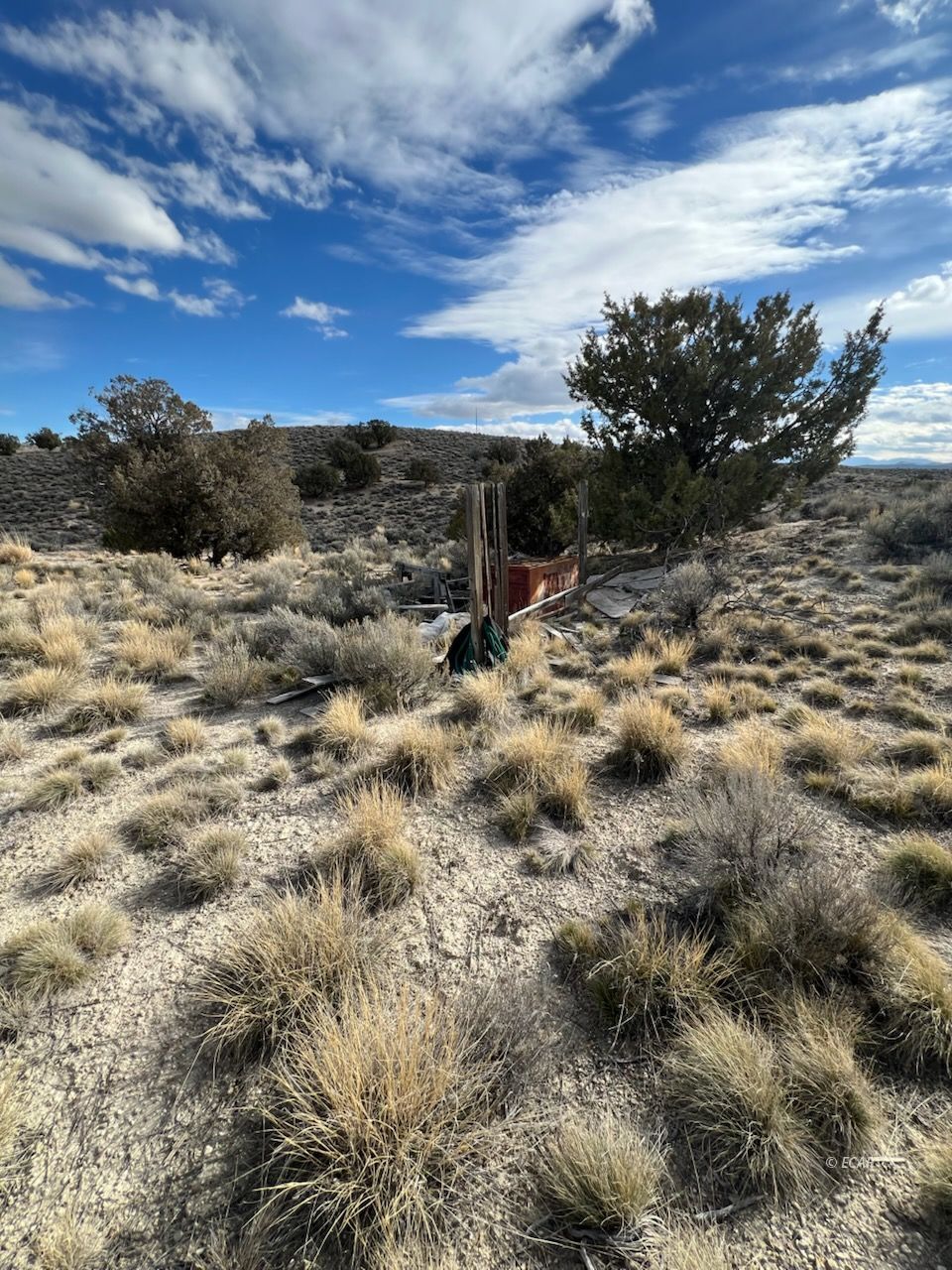 N/a Grant Avenue Property Photo 11