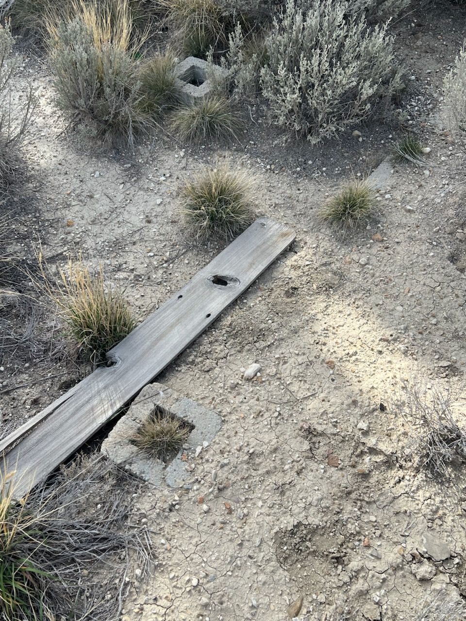 N/a Grant Avenue Property Photo 12