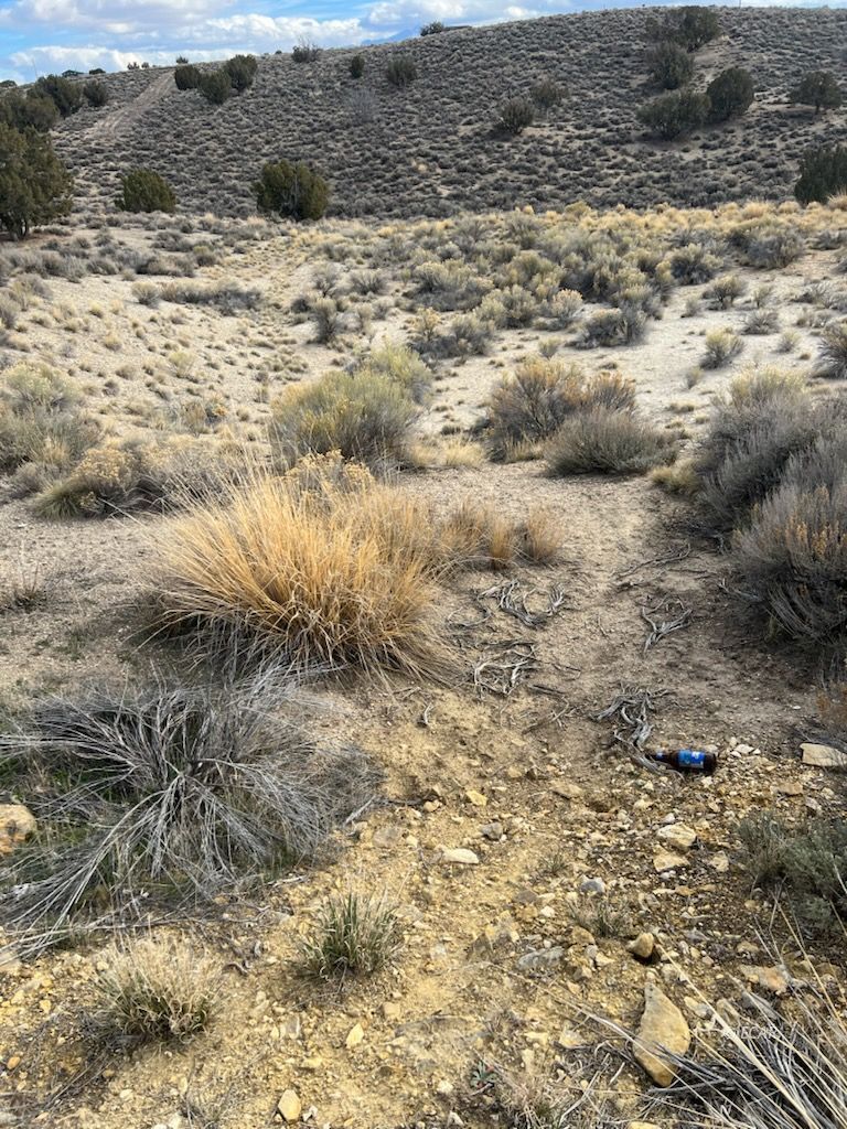 N/a Grant Avenue Property Photo 13