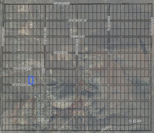 066020019 Bitterroot Street Property Photo 2