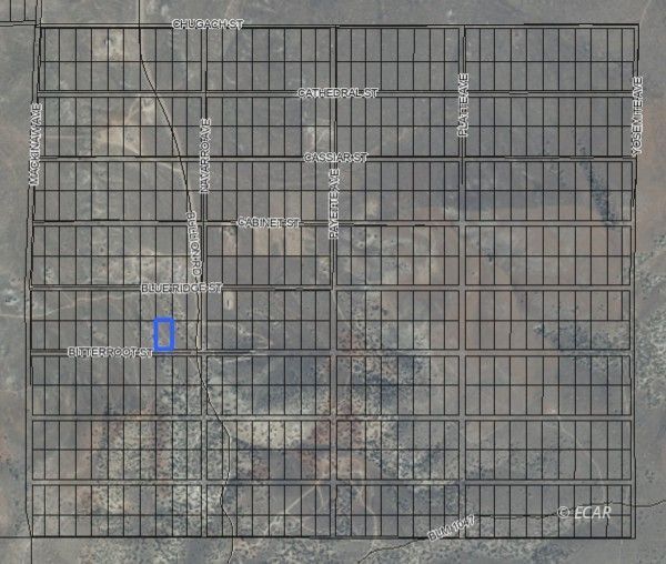 066020020 Bitterroot Street Property Photo 2