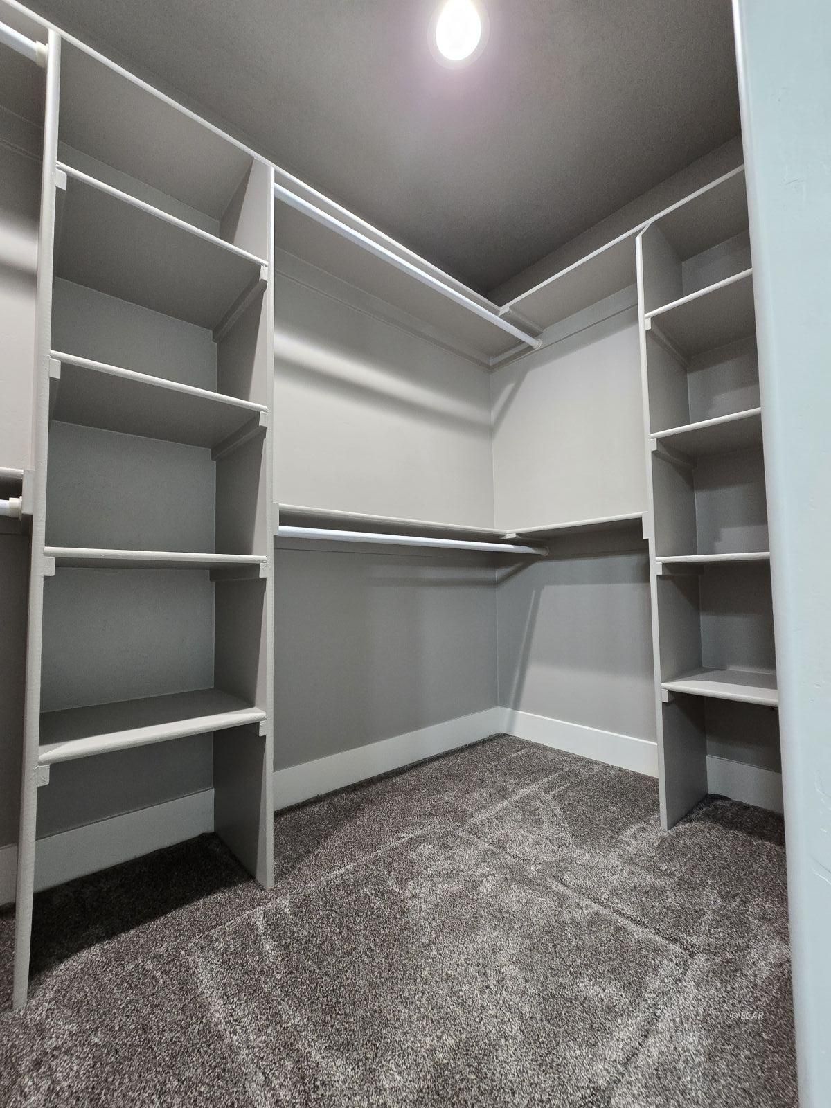 376 Four Mile Trail Property Photo 16