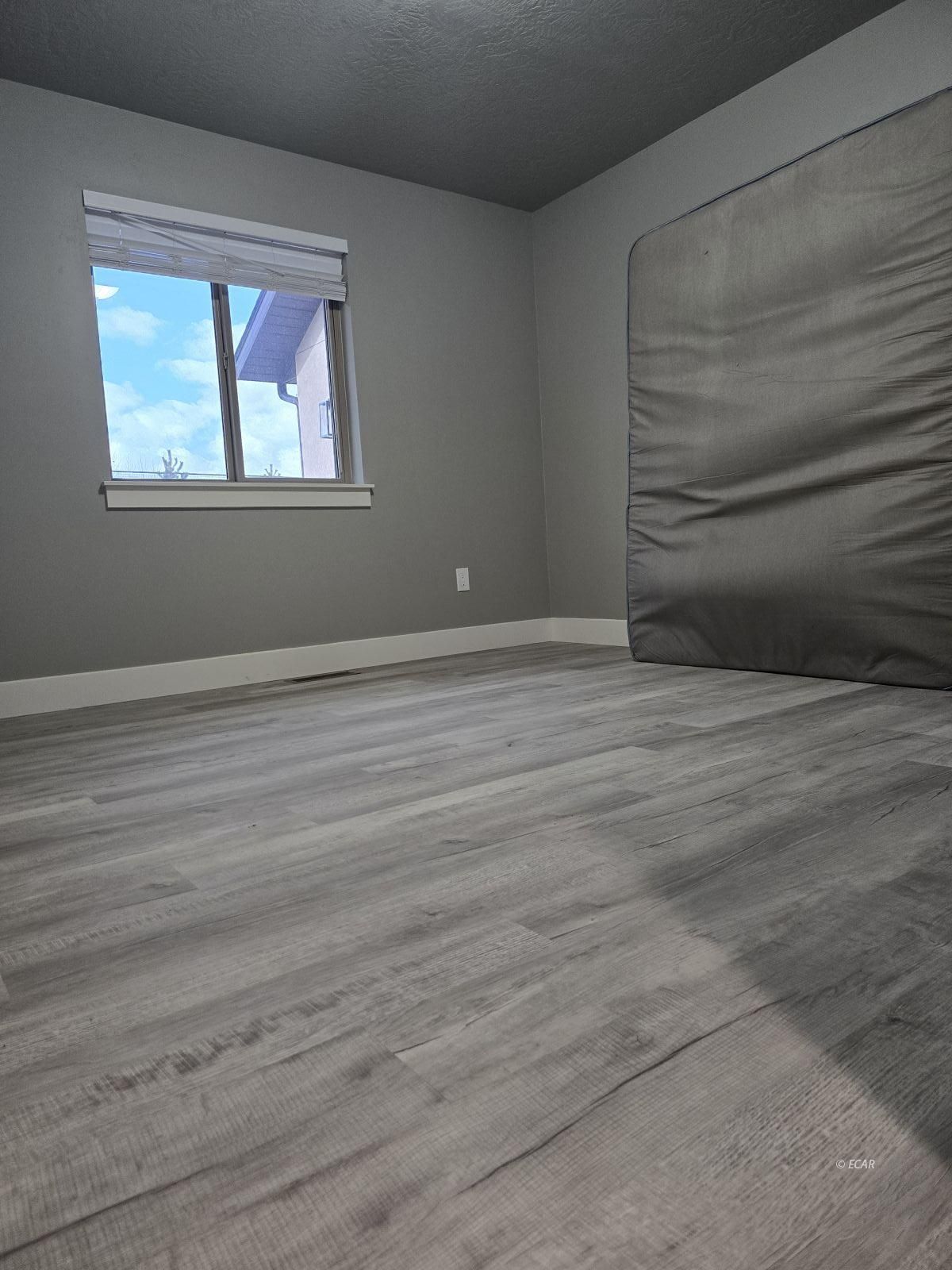 376 Four Mile Trail Property Photo 20