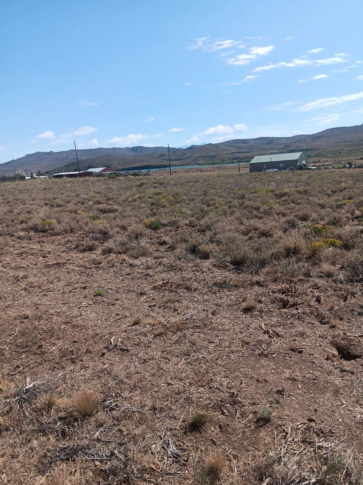 000 Cinnabar Avenue 08 Property Photo 4