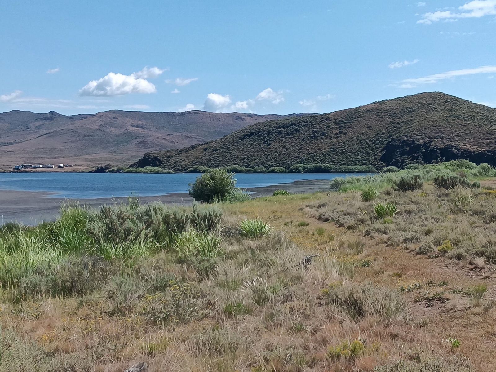 000 Cinnabar Avenue 08 Property Photo 7