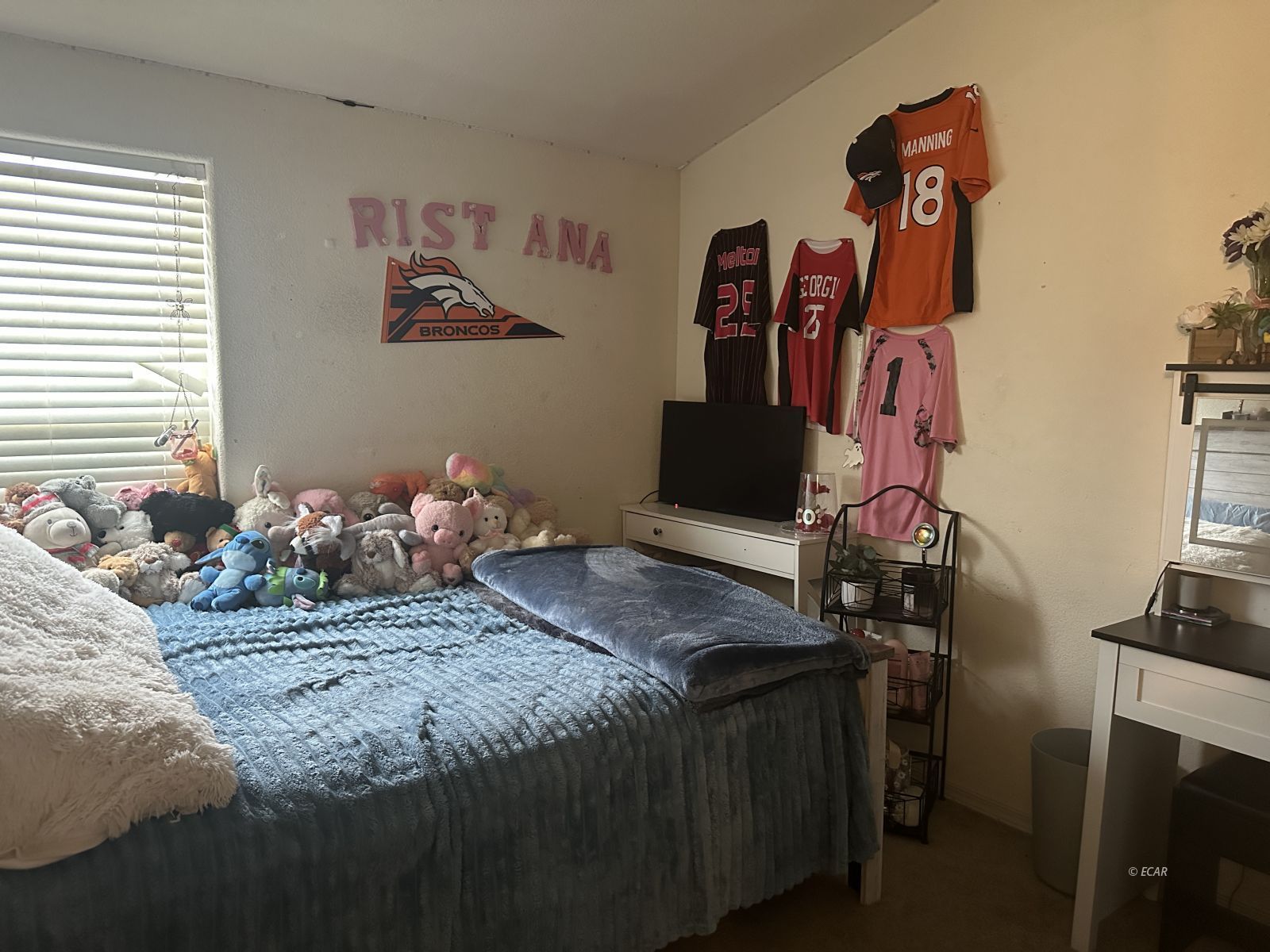 521 Elm Street Property Photo 15