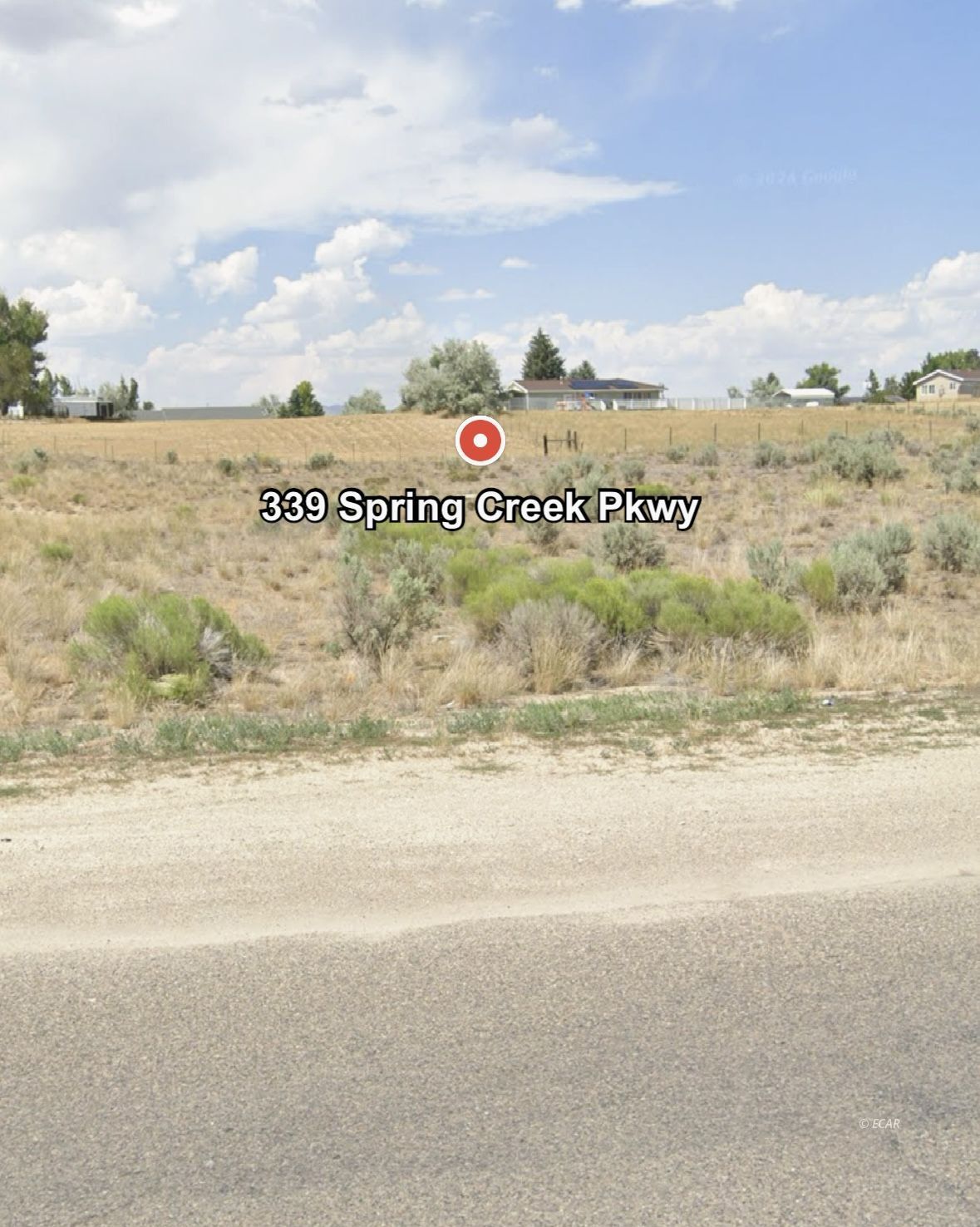 339 Spring Creek Parkway Property Photo 2