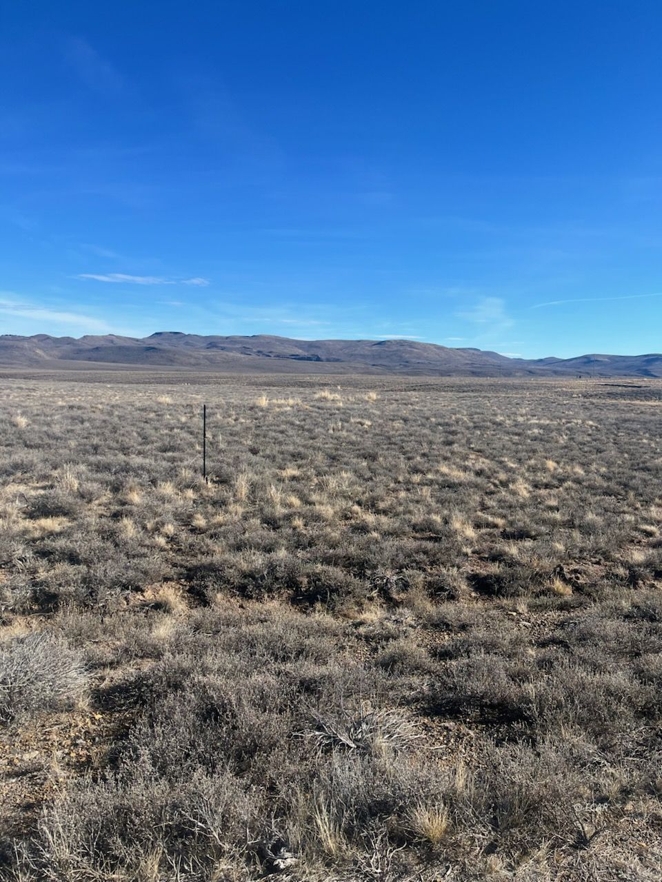 000 Bauxite Avenue Property Photo 3