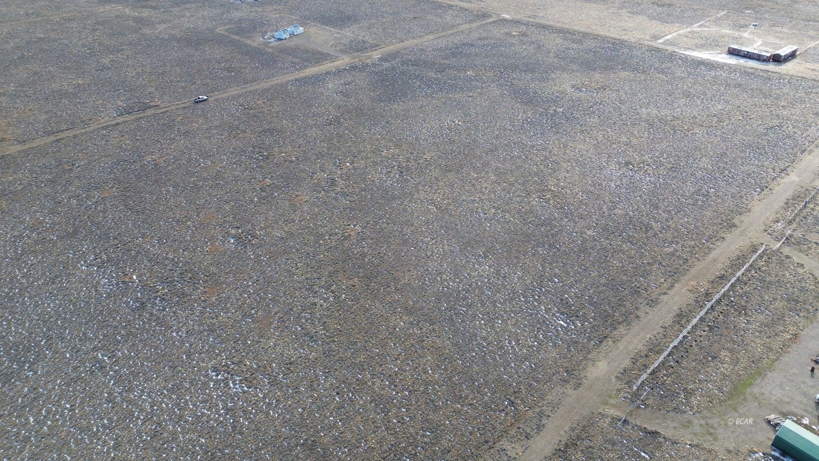 Calcite Avenue Property Photo 6