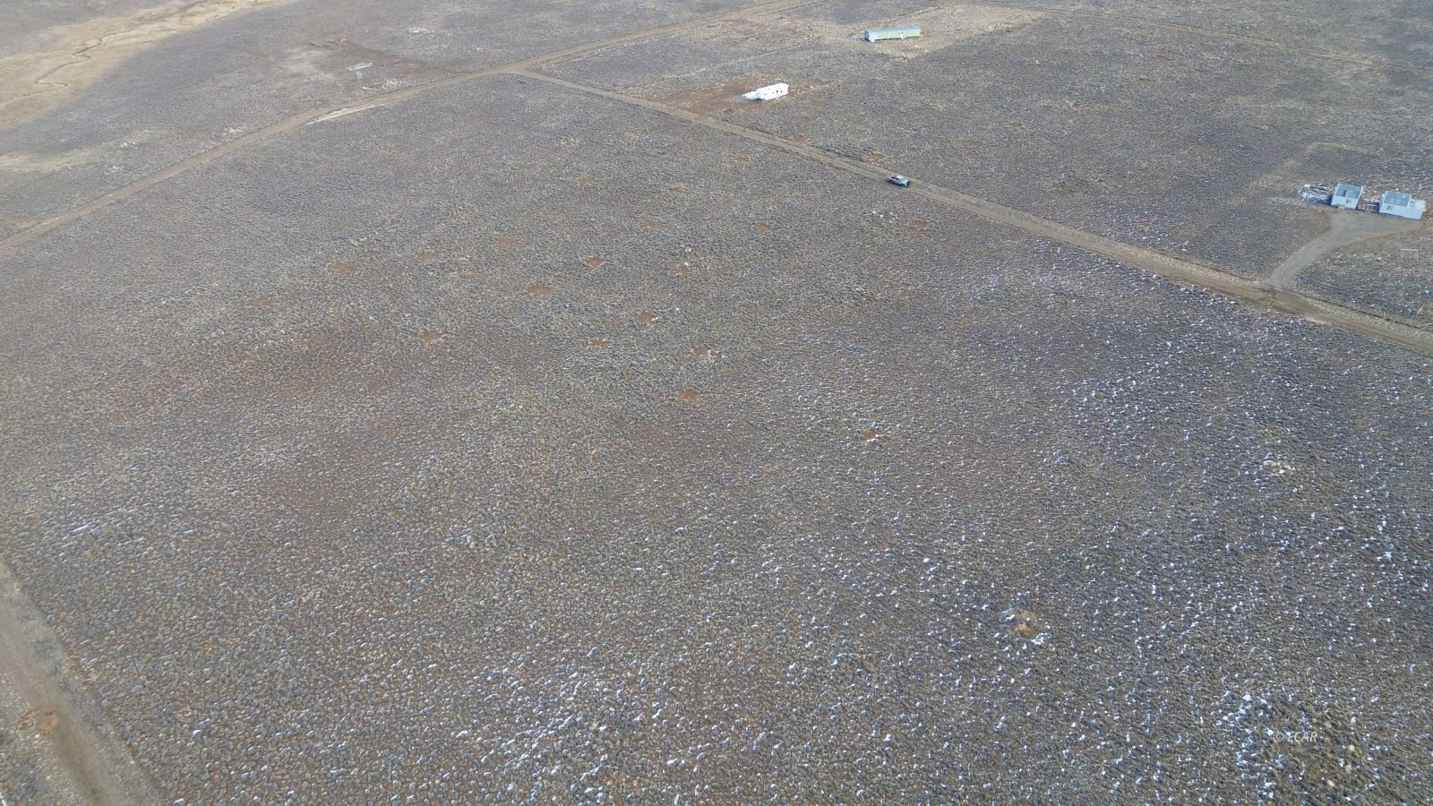 Calcite Avenue Property Photo 10