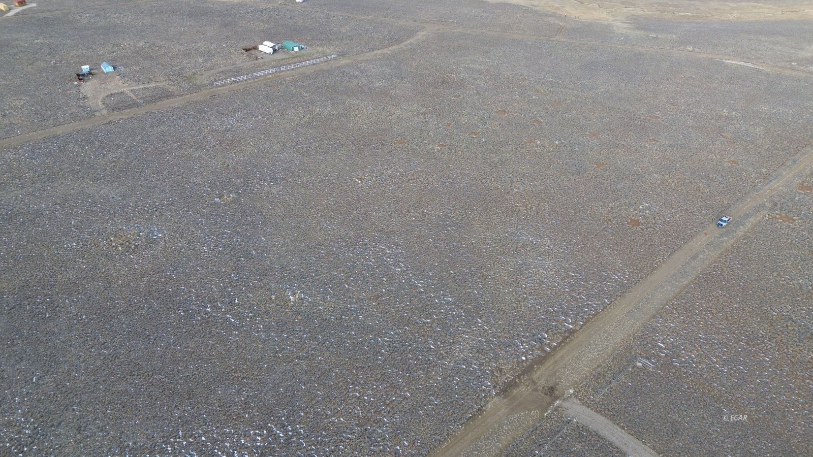 Calcite Avenue Property Photo 14