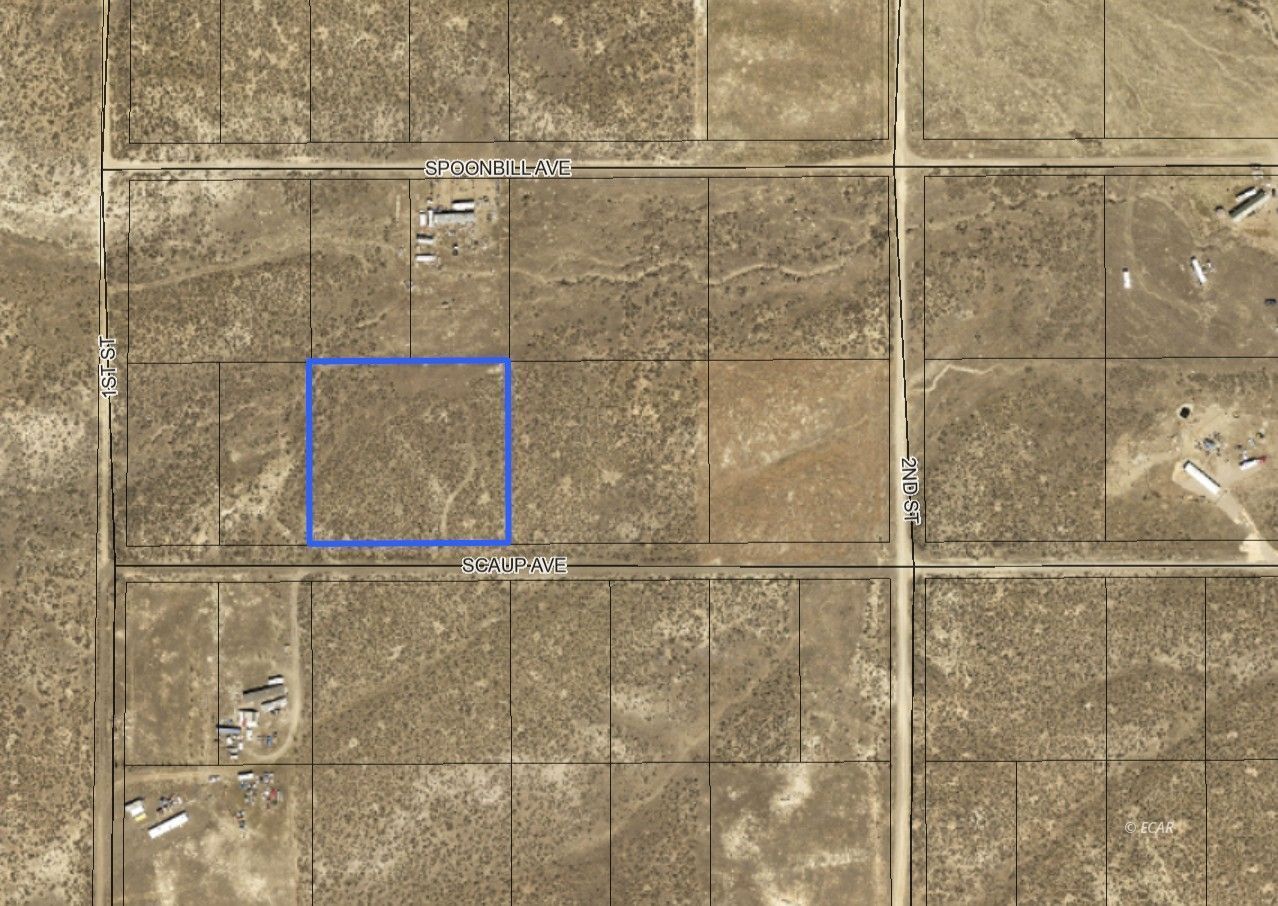 Scaup Avenue Property Photo 18