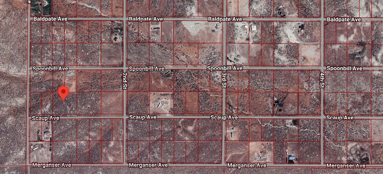 Scaup Avenue Property Photo 19